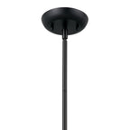 KICHLER 52476NBR Thera 14" 1 Light Pendant Natural Brass