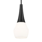 KICHLER 52529BK Deela 17 Inch 1 Light Pendant With Satin Etched Cased Opal Glass In Black