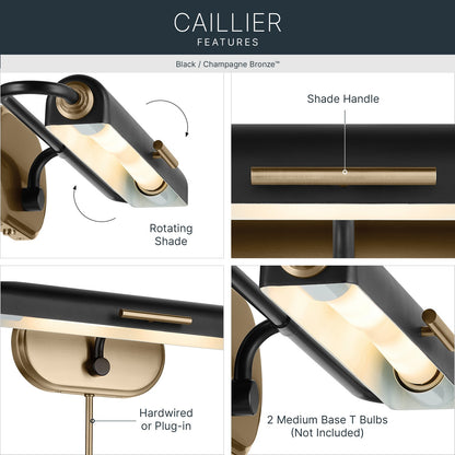 KICHLER 52818BK Caillier Two Light Picture Light