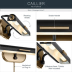 KICHLER 52820BK Caillier Two Light Picture Light