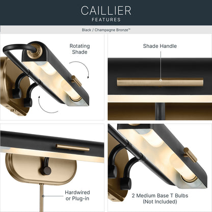 KICHLER 52820BK Caillier Two Light Picture Light
