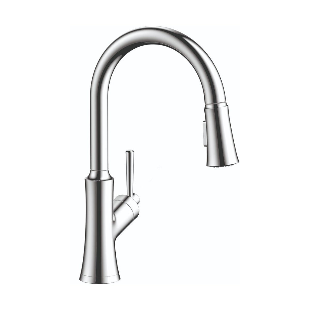 HANSGROHE 04793000 Joleena HighArc Kitchen Faucet, 2-Spray Pull-Down, 1.75 GPM - Chrome