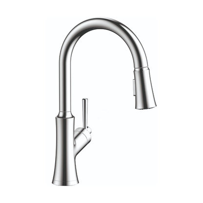 HANSGROHE 04793000 Joleena HighArc Kitchen Faucet, 2-Spray Pull-Down, 1.75 GPM - Chrome