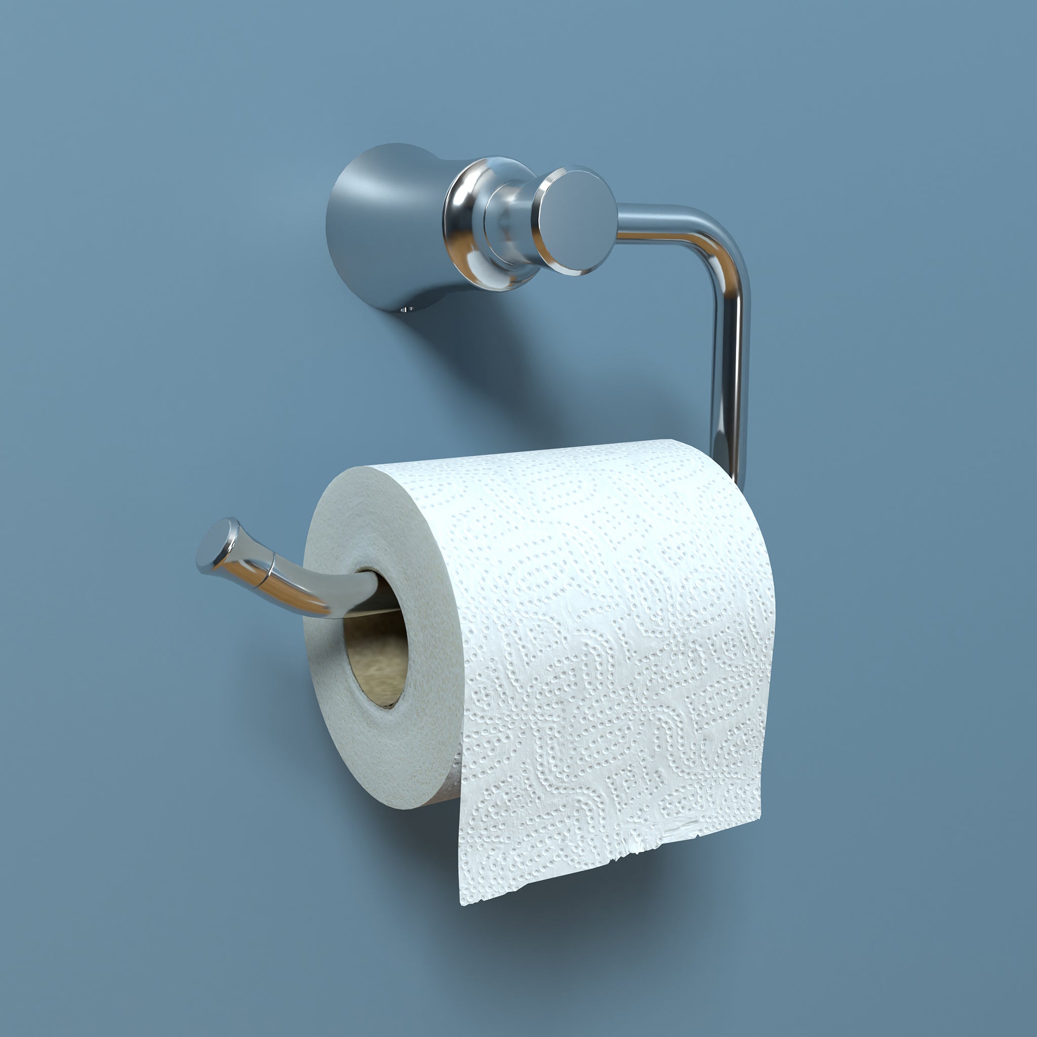 HANSGROHE 04787000 Joleena Toilet Paper Holder - Chrome