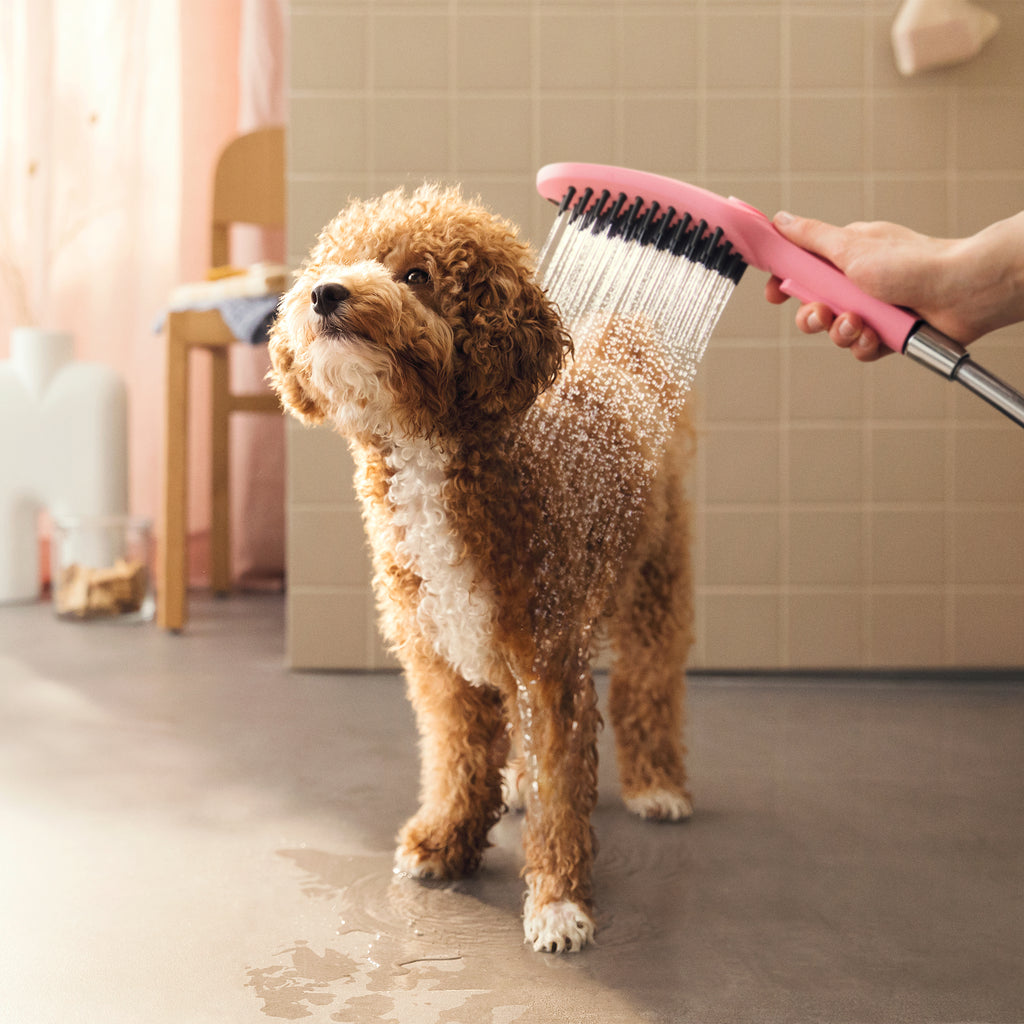 HANSGROHE 04973560 Dog Shower Dog Shower + Quick Connect, 3-Spray, 1.75 GPM, - Pink