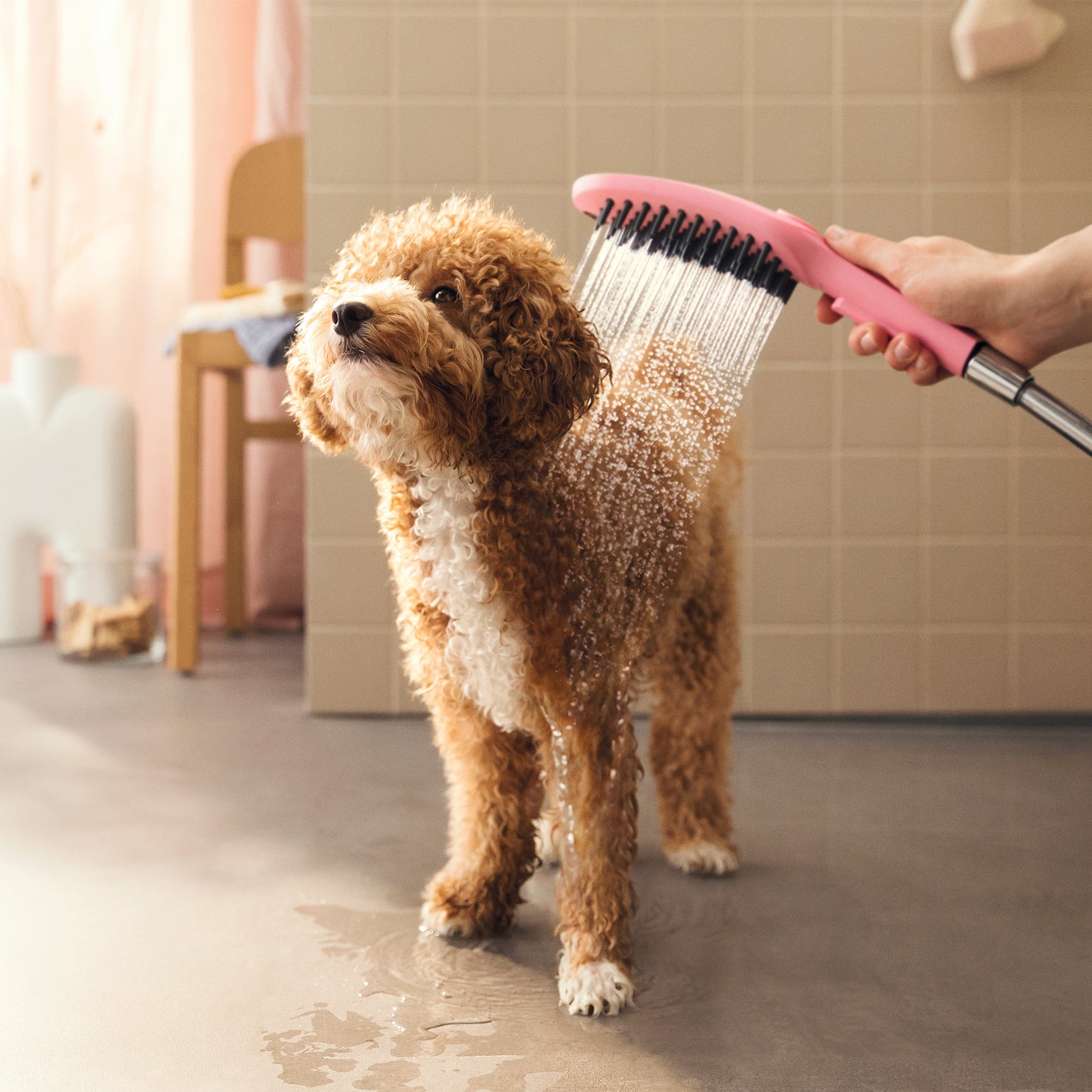 HANSGROHE 04973560 Dog Shower Dog Shower + Quick Connect, 3-Spray, 1.75 GPM, - Pink