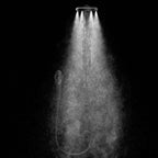 MOEN N207C0BL Spa Shower Two-Function 7.9" Diameter Spray Head Standard with Handshower - Matte Black