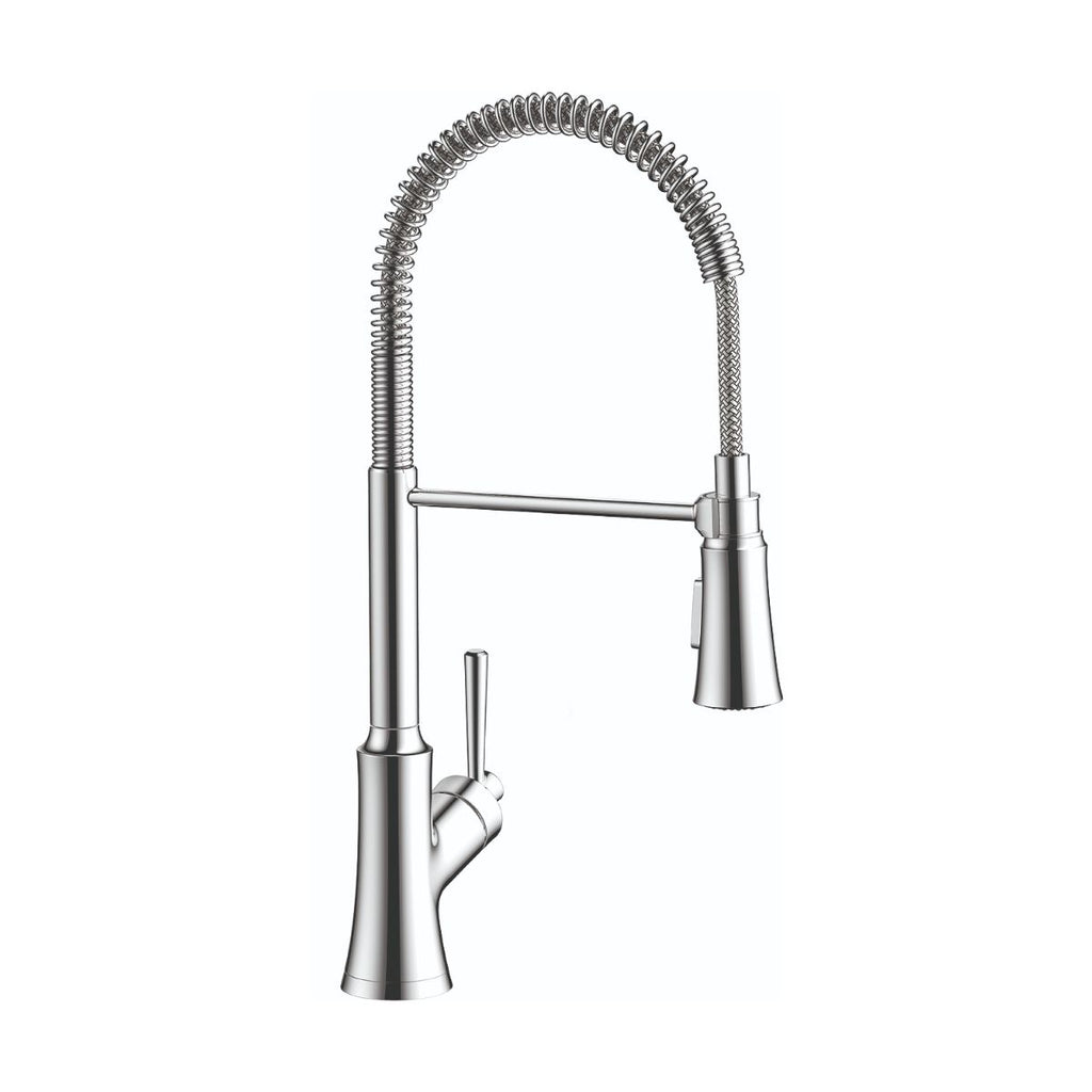 HANSGROHE 04792000 Joleena Semi-Pro Kitchen Faucet, 2-Spray, 1.75 GPM - Chrome