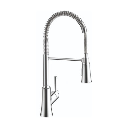 HANSGROHE 04792000 Joleena Semi-Pro Kitchen Faucet, 2-Spray, 1.75 GPM - Chrome