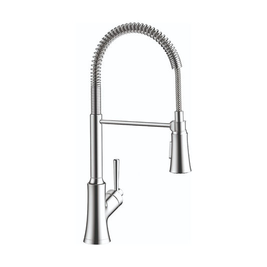 HANSGROHE 04792000 Joleena Semi-Pro Kitchen Faucet, 2-Spray, 1.75 GPM - Chrome