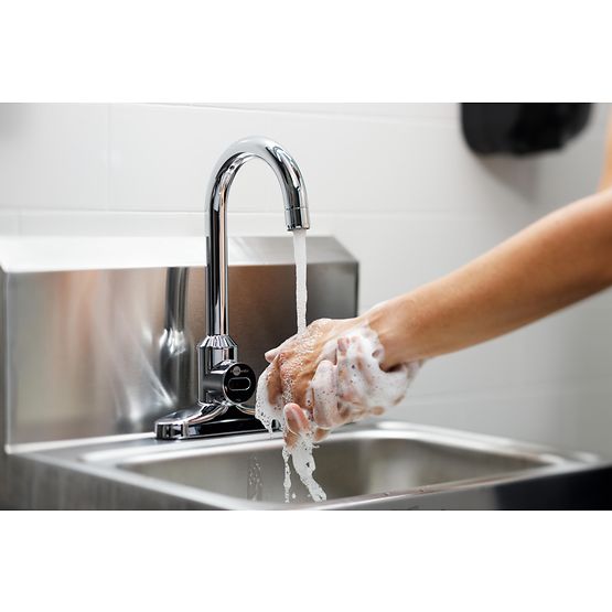 INSINKERATOR 16119-ISE Instant Warm Handwashing System - HANDWASH2