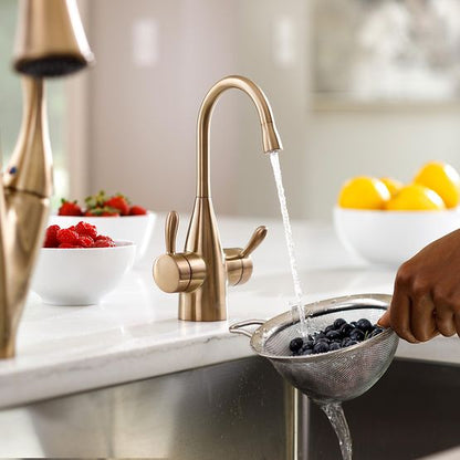 INSINKERATOR 45386AK-ISE Showroom Collection Transitional 1010 Instant Hot and Cold Faucet  - FHC1010BB