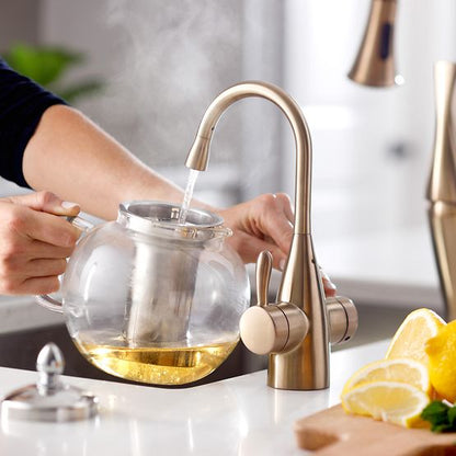 INSINKERATOR 45386AK-ISE Showroom Collection Transitional 1010 Instant Hot and Cold Faucet  - FHC1010BB