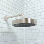 HANSGROHE 26228821 Rainfinity Showerhead 250 1-Jet, 2.5 GPM - Brushed Nickel
