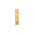 AXOR 49700251 Citterio C Thermostatic Module Trim 15" x 5" for 2 Functions - Brushed Gold Optic