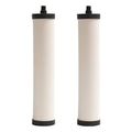 FRANKE FRC06-2PK FILTER CARTRIDGE CHLORINE 2PACK