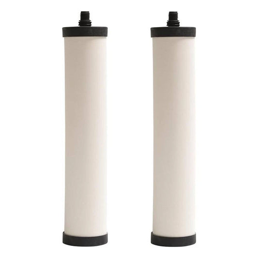 FRANKE FRC06-2PK FILTER CARTRIDGE CHLORINE 2PACK