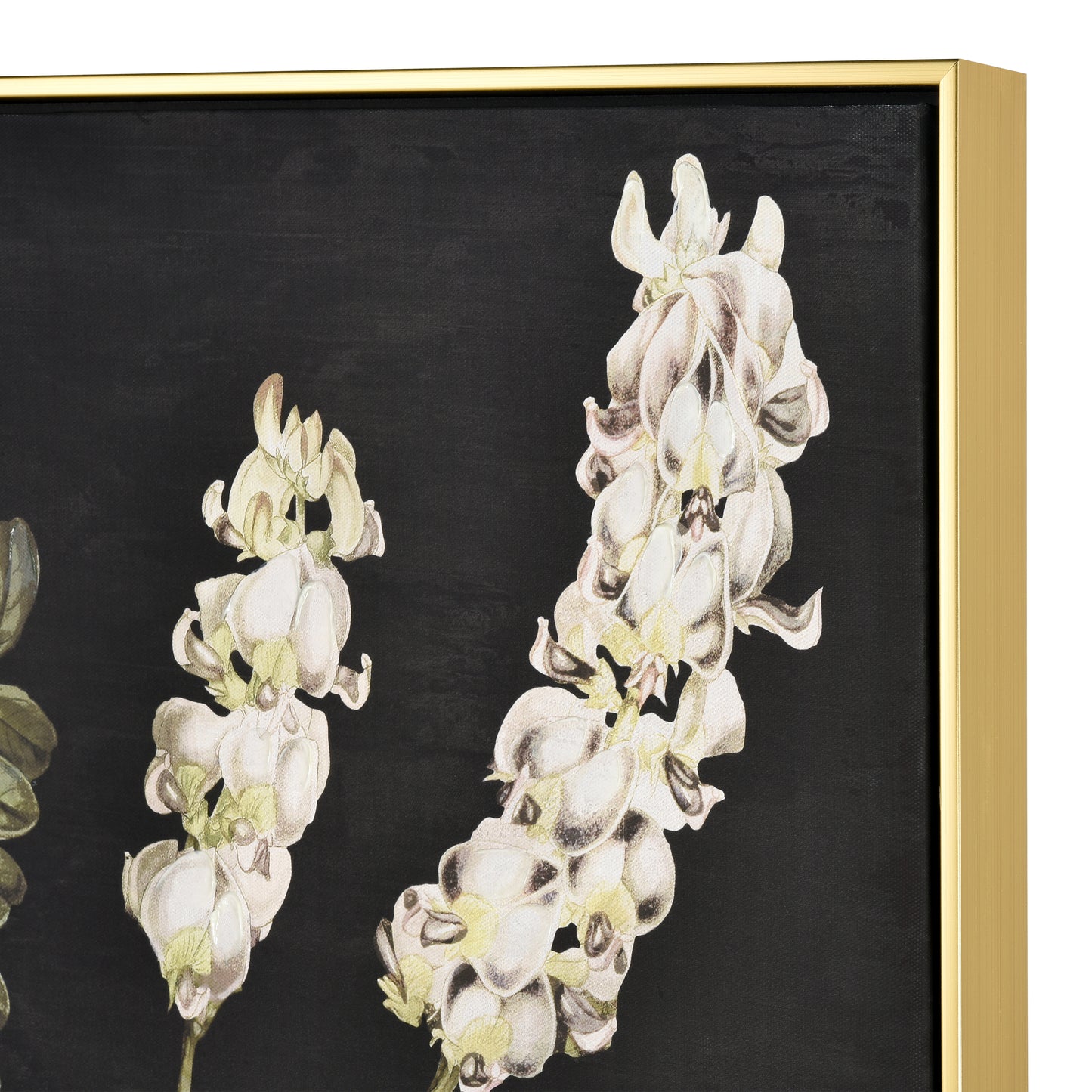 ELK STUDIO S0016-10169 Botanical Study II Framed Wall Art