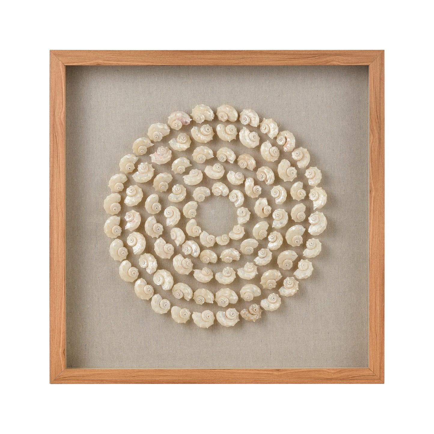 ELK STUDIO S0036-11263 Concentric Shell Dimensional Wall Art