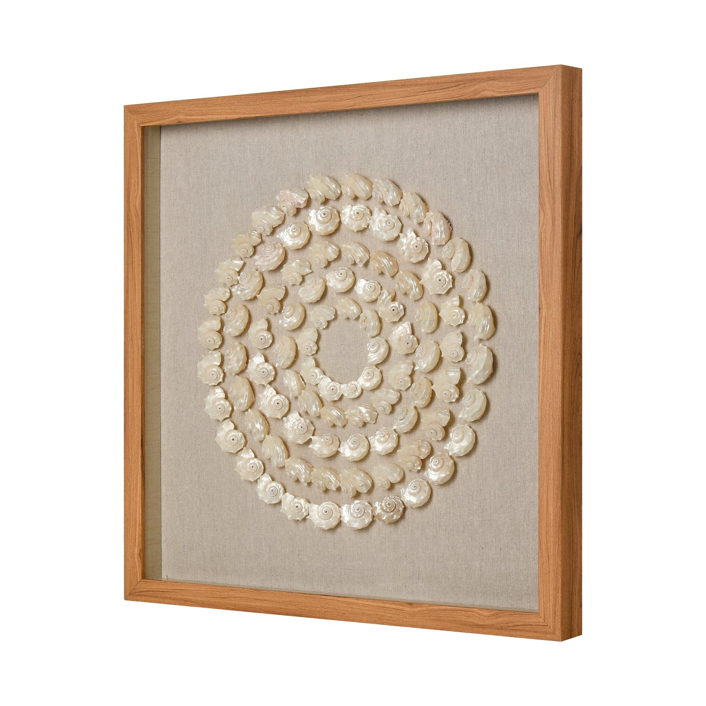 ELK STUDIO S0036-11263 Concentric Shell Dimensional Wall Art