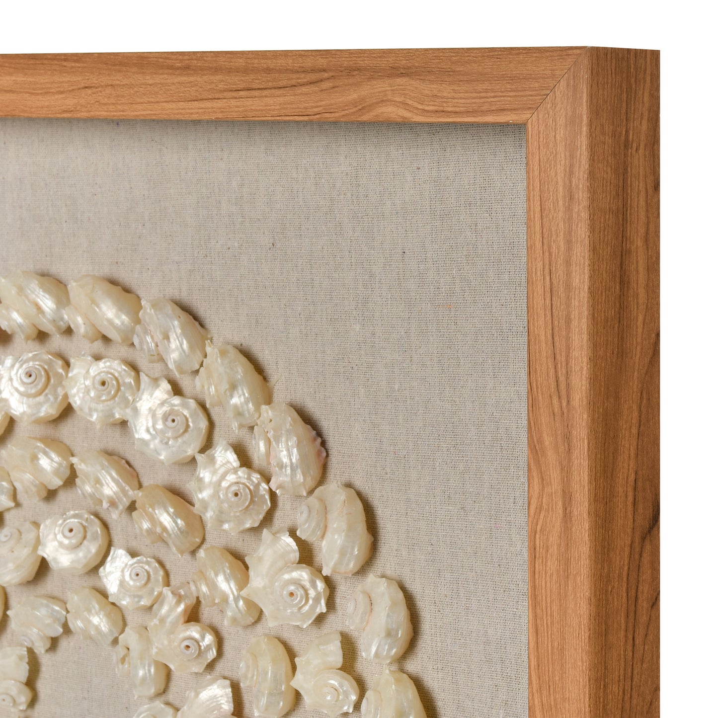 ELK STUDIO S0036-11263 Concentric Shell Dimensional Wall Art