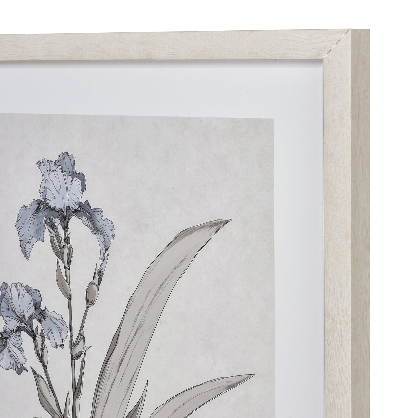 ELK STUDIO S0056-10633 Iris Botanic Framed Wall Art