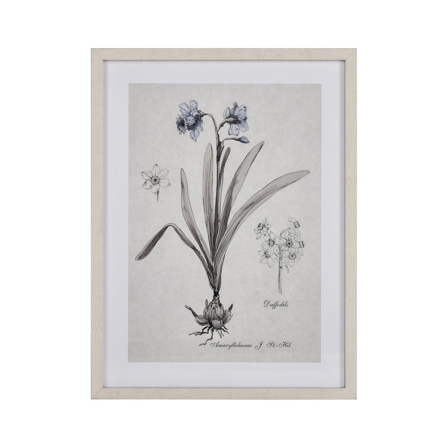 ELK STUDIO S0056-10634 Daffodil Botanic Framed Wall Art