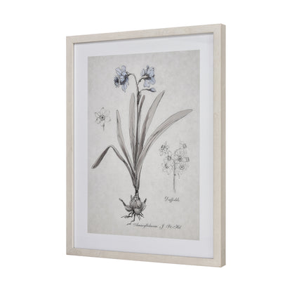 ELK STUDIO S0056-10634 Daffodil Botanic Framed Wall Art