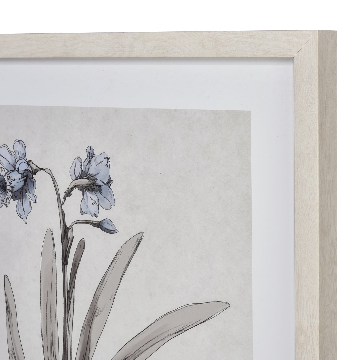 ELK STUDIO S0056-10634 Daffodil Botanic Framed Wall Art