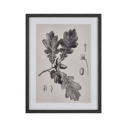 ELK STUDIO S0056-10636 Oak II Botanic Framed Wall Art