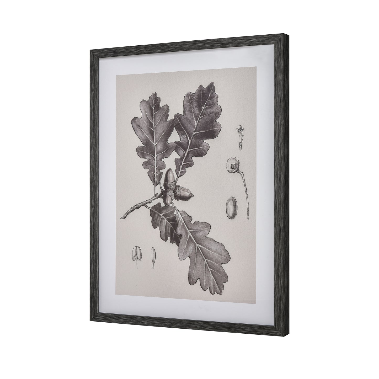 ELK STUDIO S0056-10636 Oak II Botanic Framed Wall Art