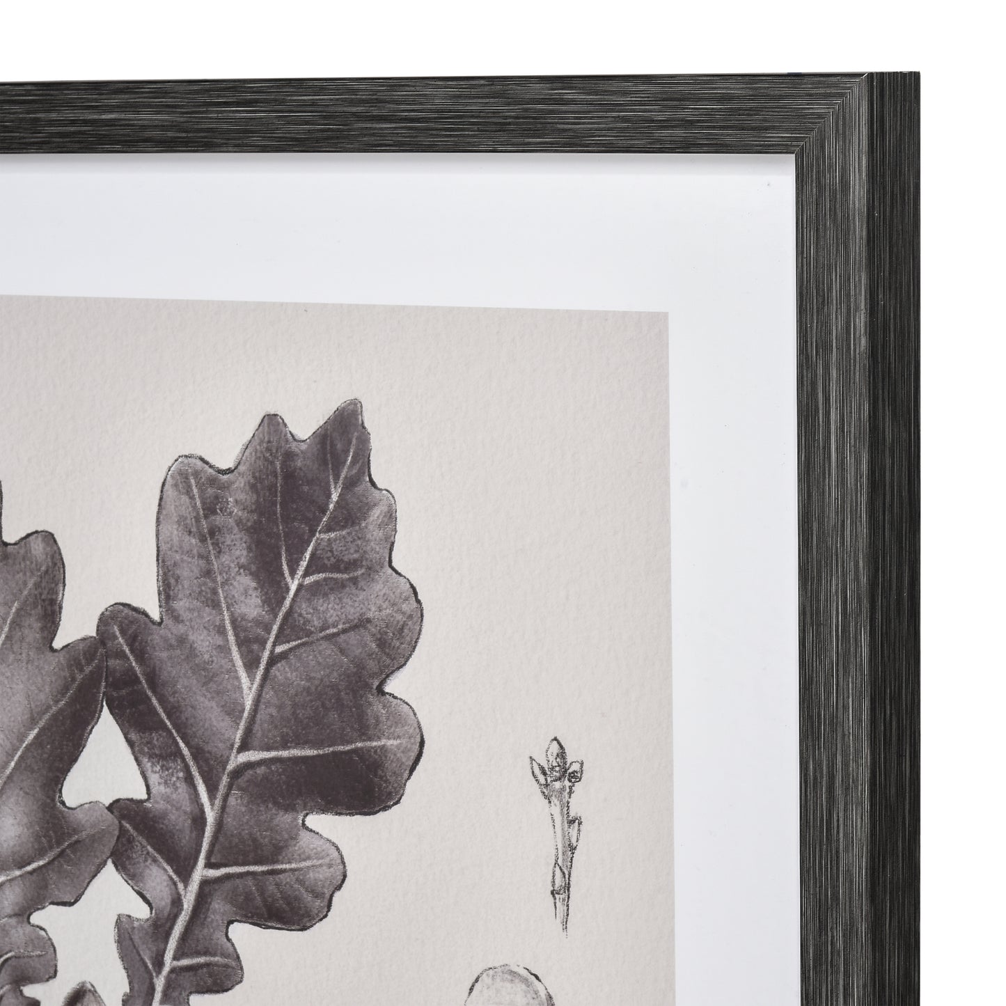 ELK STUDIO S0056-10636 Oak II Botanic Framed Wall Art