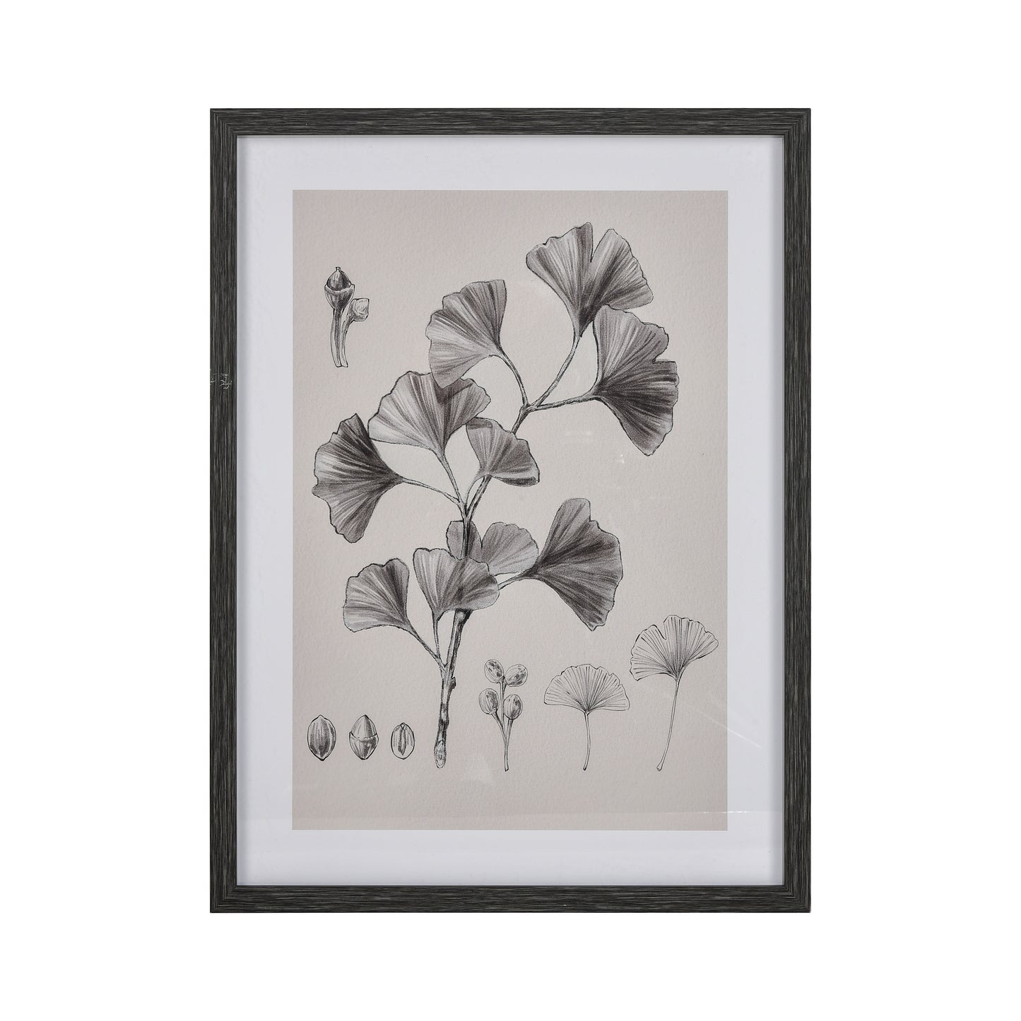 ELK STUDIO S0056-10637 Ginkgo Botanic Framed Wall Art