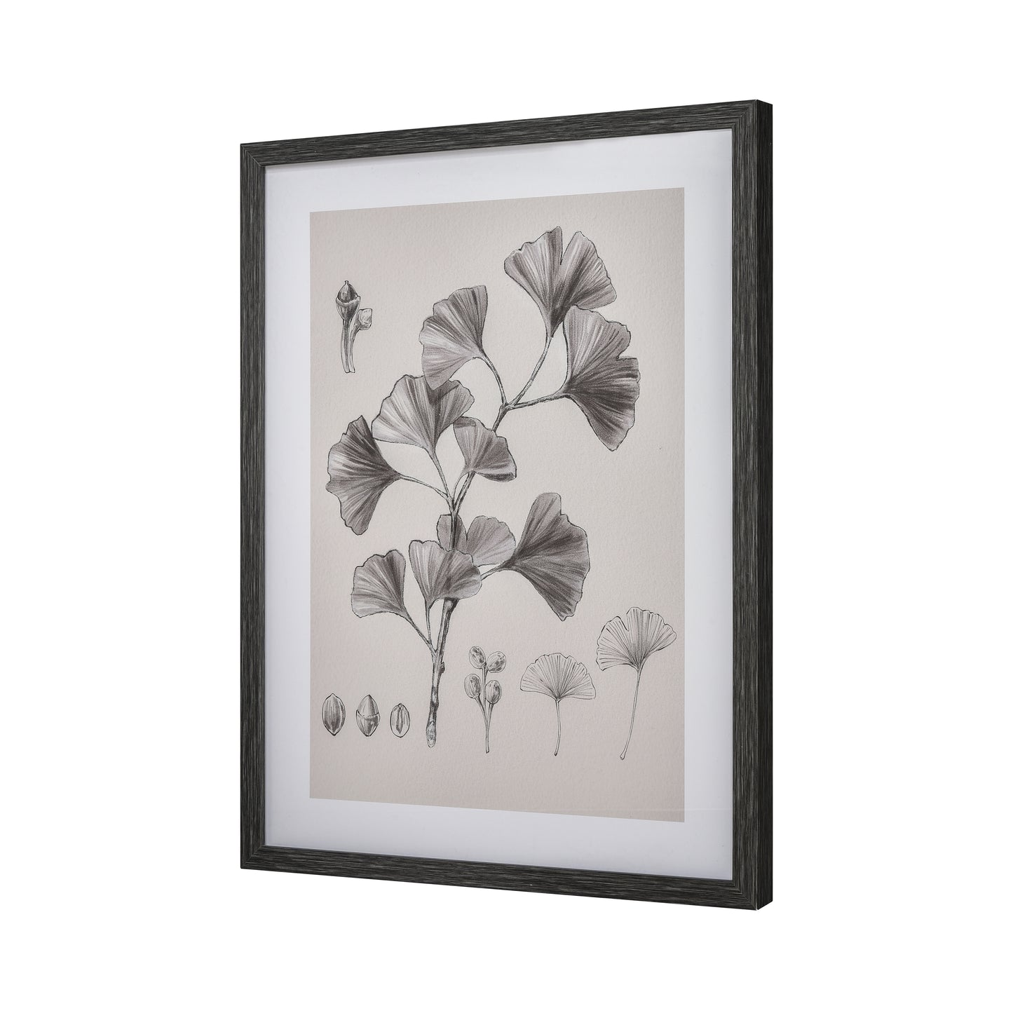 ELK STUDIO S0056-10637 Ginkgo Botanic Framed Wall Art