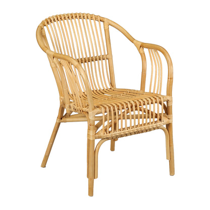 ELK STUDIO S0075-10016 Tika Chair