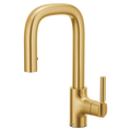 MOEN S64001BG Tenon One-Handle Pulldown Bar Faucet - Brushed Gold