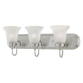 THOMAS SL710341 Whitmore 24'' Wide 3-Light Vanity Light - Satin Pewter
