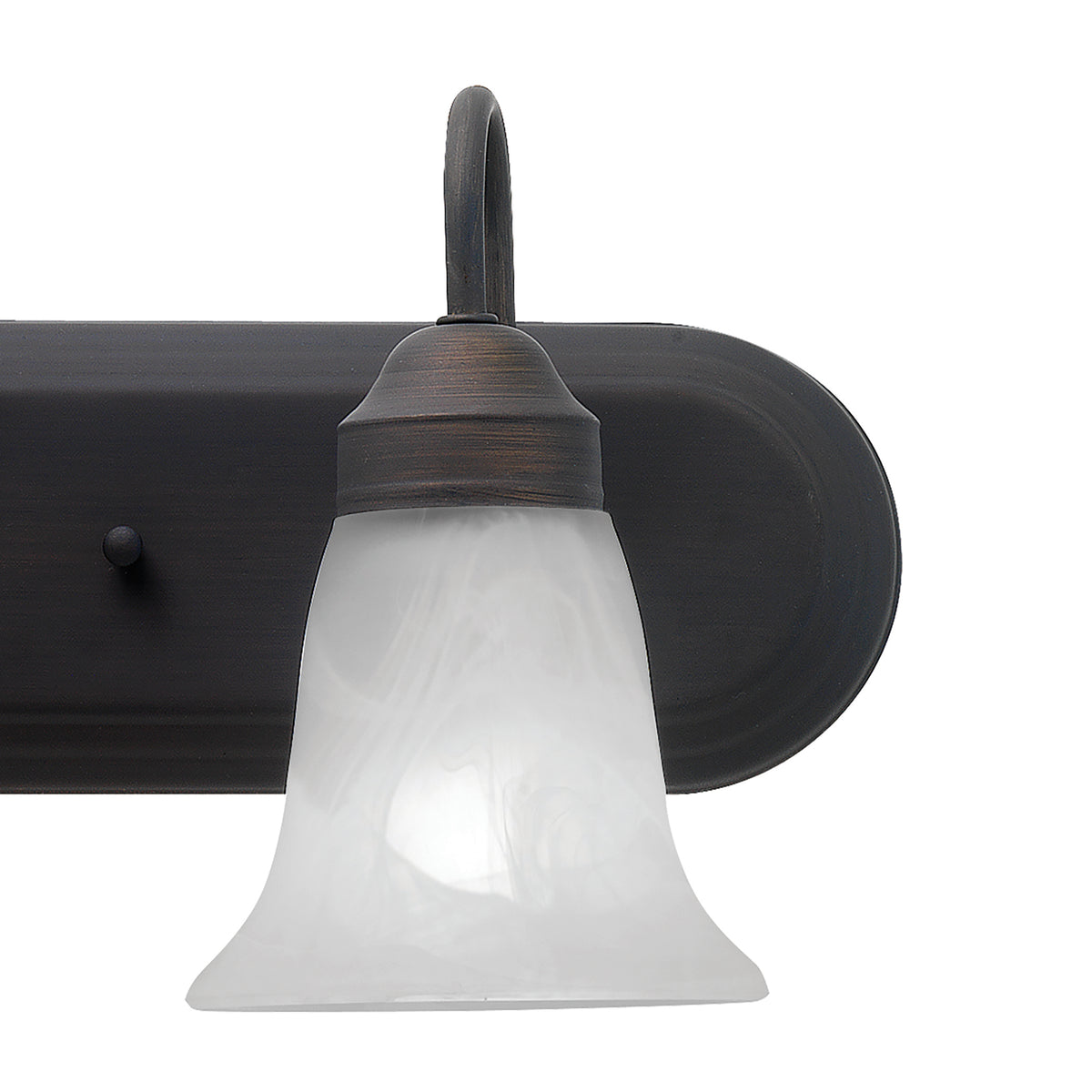 THOMAS SL758463 Homestead 30'' Wide 4-Light Vanity Light - Painted Bronze