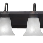 THOMAS SL758463 Homestead 30'' Wide 4-Light Vanity Light - Painted Bronze