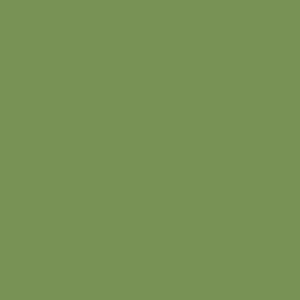 KOHLER K-36437-34 KOHLER Enameled Cast Iron 1" x 2" Samples - Fresh Green