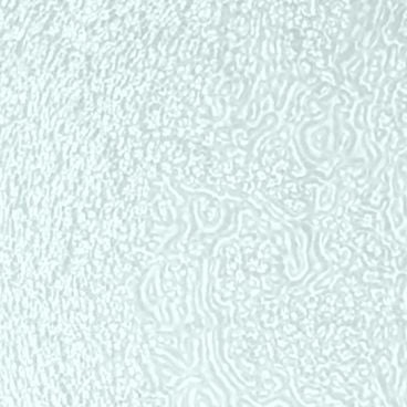 KOHLER K-1194849-G2-B11 Dew Glass 4" X 4" Samples In Opaque Dew