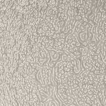 KOHLER K-1095352-G3-B11 Doe Glass 1" X 2" Samples - Opaque Doe