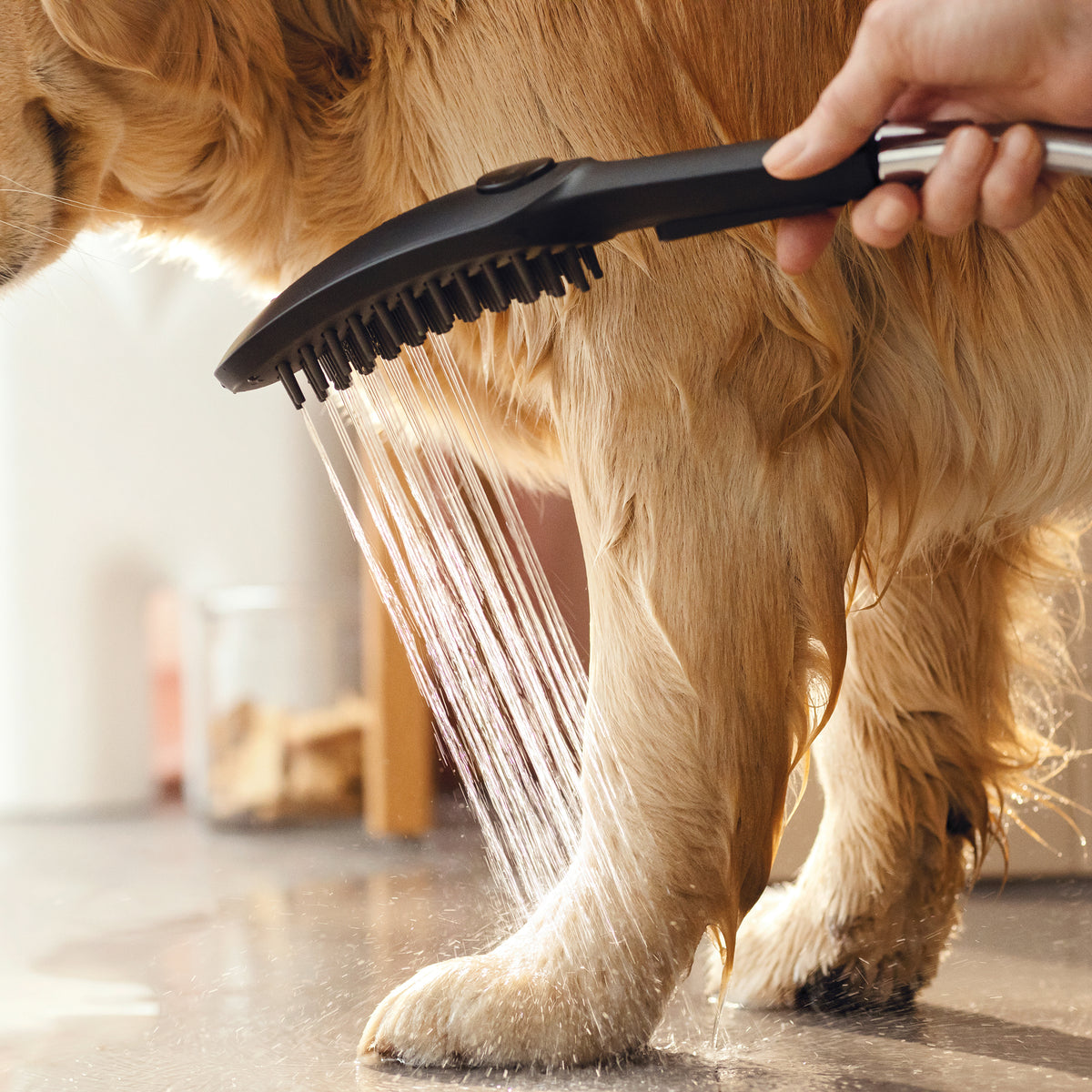 HANSGROHE 04973670 Dog Shower Dog Shower + Quick Connect, 3-Spray, 1.75 GPM, - Black