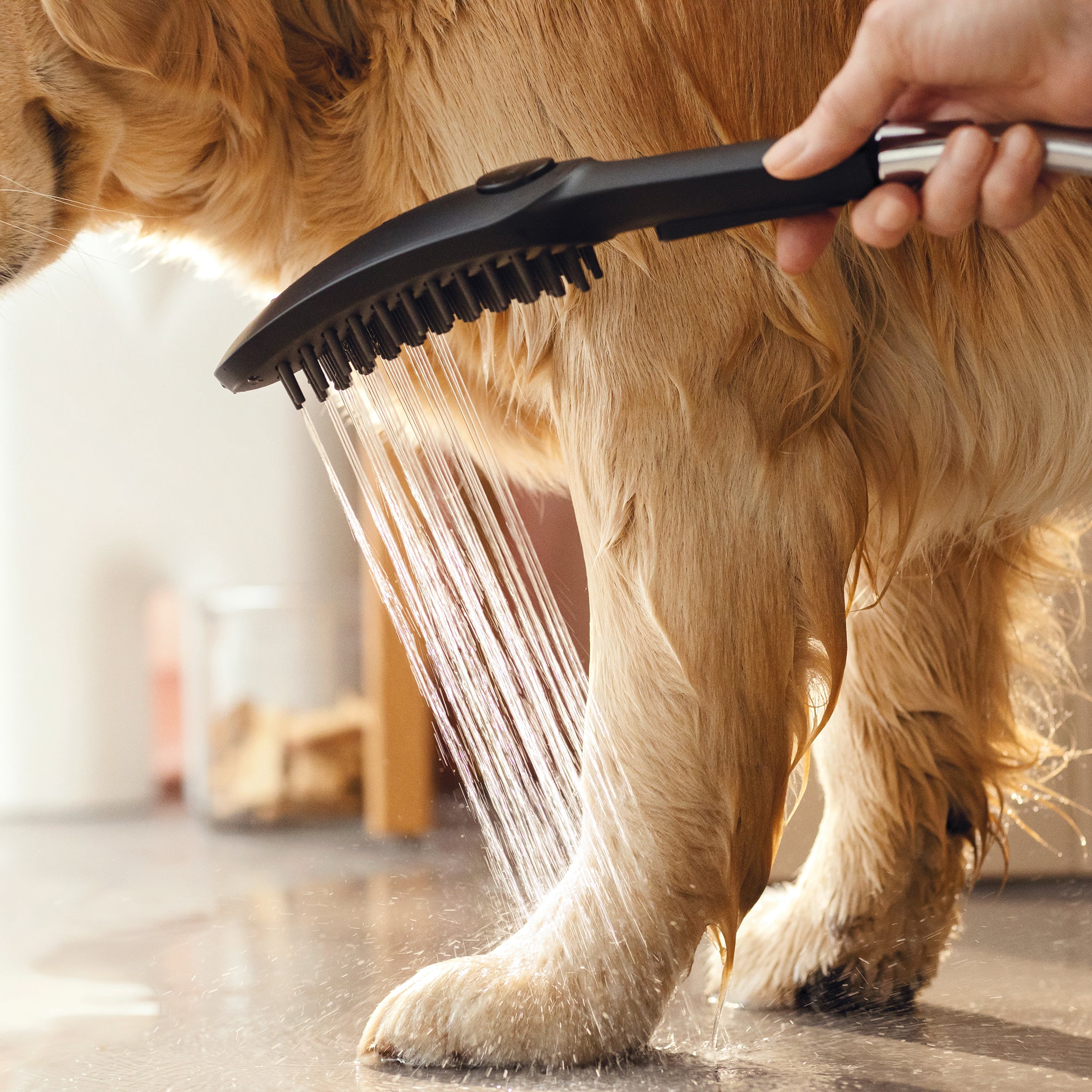 HANSGROHE 04974670 Dog Shower Dog Shower Bundle, 3-Spray, 1.75 GPM - Black