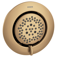 MOEN Mosaic Bronzed gold showerhead - Bronzed Gold, TS1422BZG