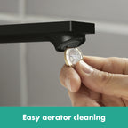 HANSGROHE 72532671 Rebris E Widespread Faucet 110 with Pop-Up Drain, 1.2 GPM - Matte Black