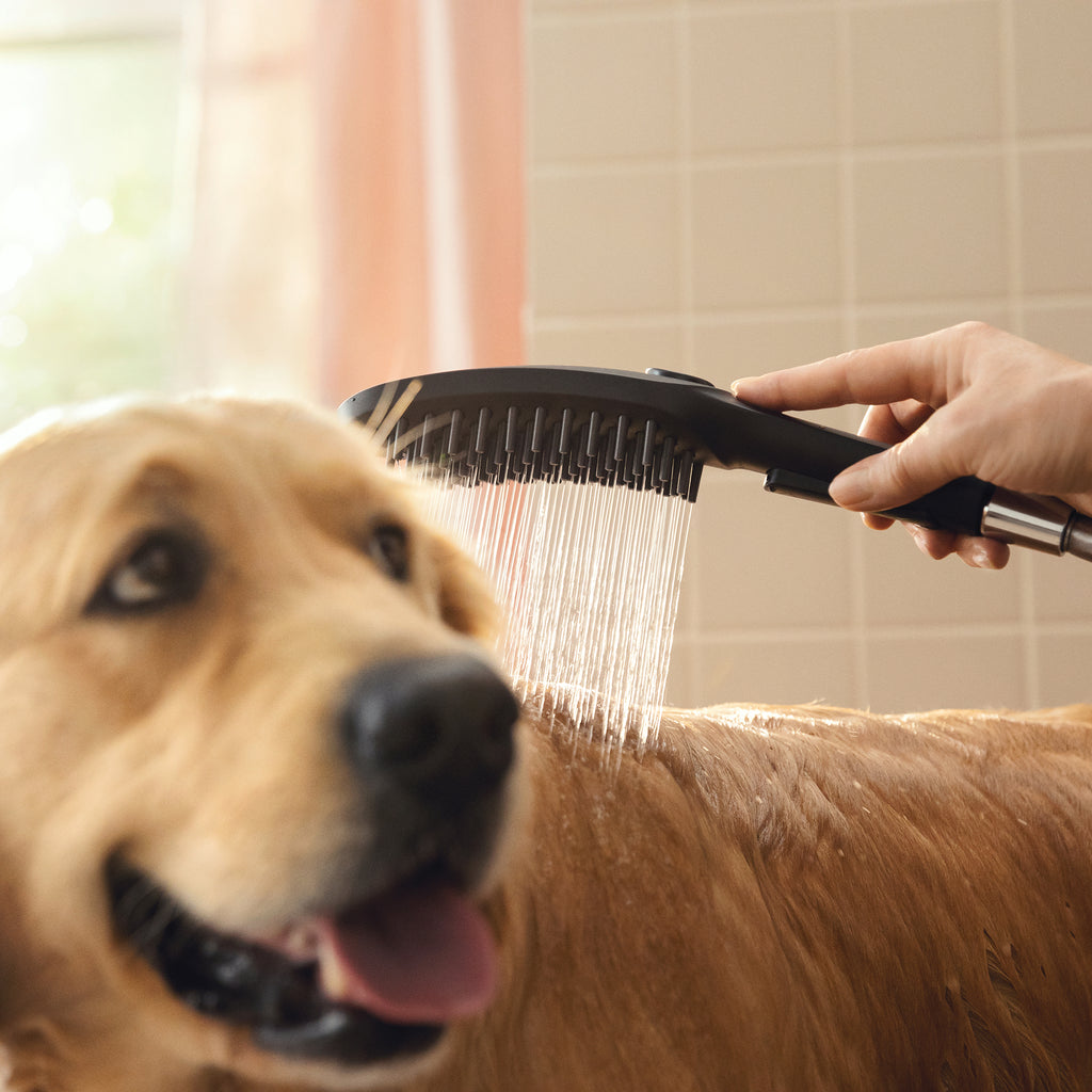 HANSGROHE 04974670 Dog Shower Dog Shower Bundle, 3-Spray, 1.75 GPM - Black