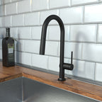 HANSGROHE 72850671 Talis N HighArc Kitchen Faucet, A-Style 2-Spray Pull-Down with sBox, 1.75 GPM - Matte Black