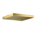 AXOR 10926991 ShowerSolutions Showerhead 240 1-Jet, 2.5 GPM - Polished Gold Optic