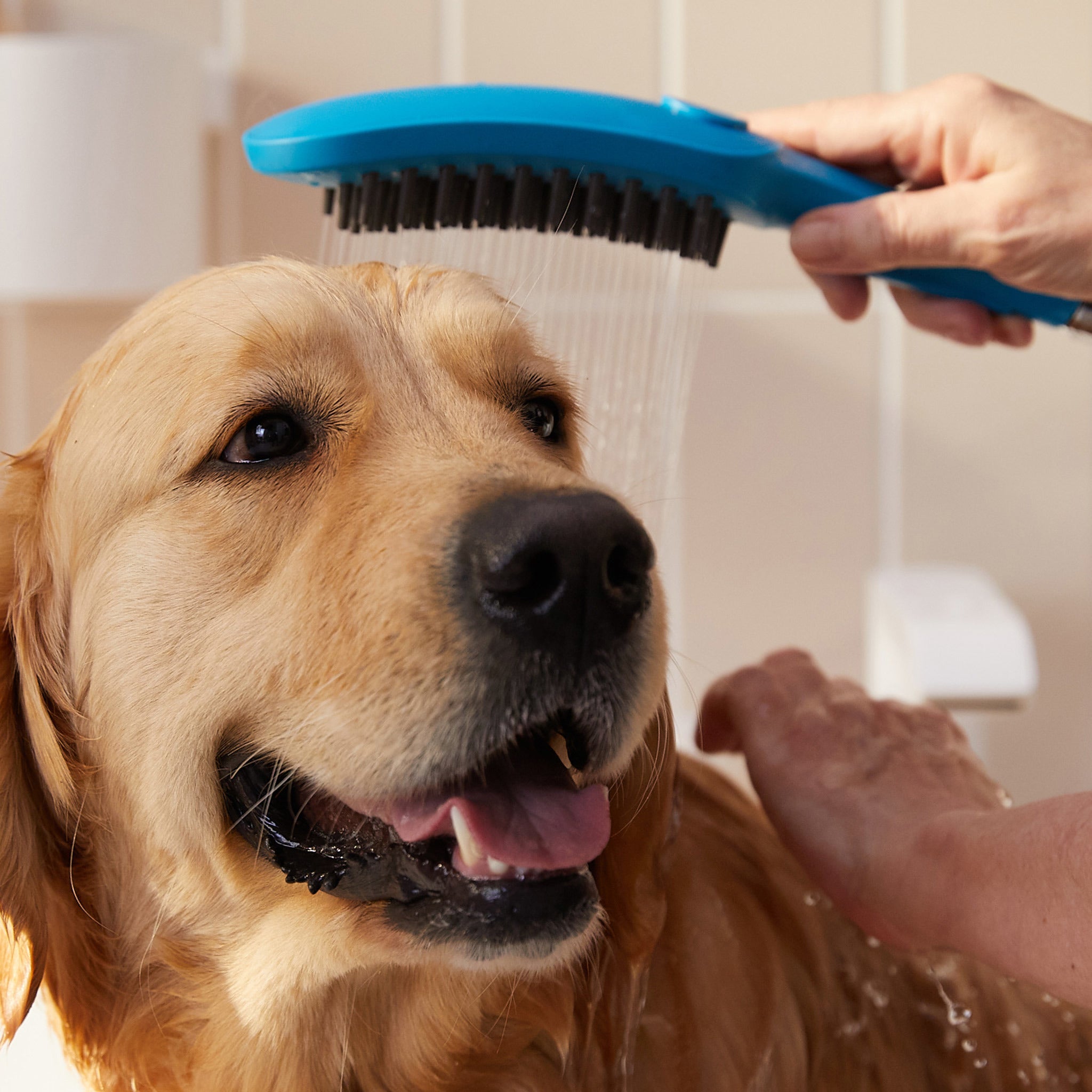 HANSGROHE 04973540 Dog Shower Dog Shower + Quick Connect, 3-Spray, 1.75 GPM, - Sky